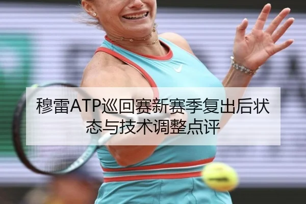 穆雷ATP巡回赛新赛季复出后状态与技术调整点评